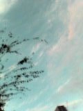 e0086642_029881.jpg