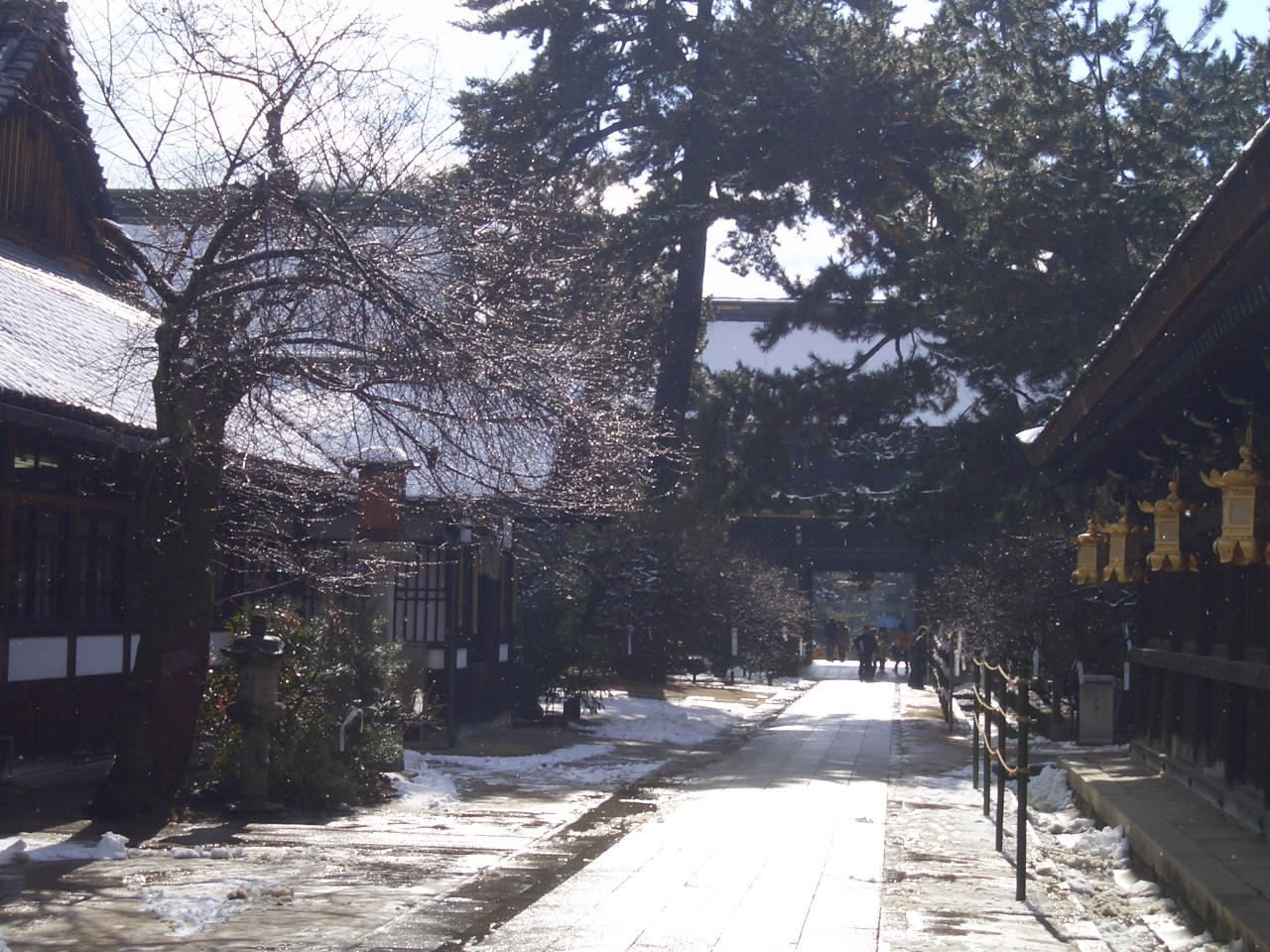 f0009451_21323454.jpg