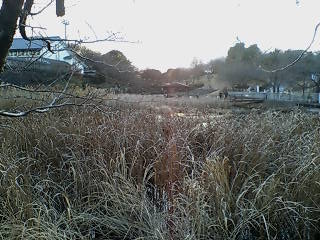 e0063653_183159.jpg