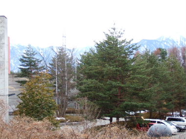 e0088654_2202726.jpg