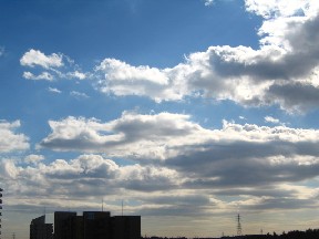 d0034659_2311699.jpg