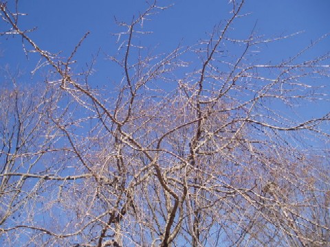 b0061261_22514295.jpg