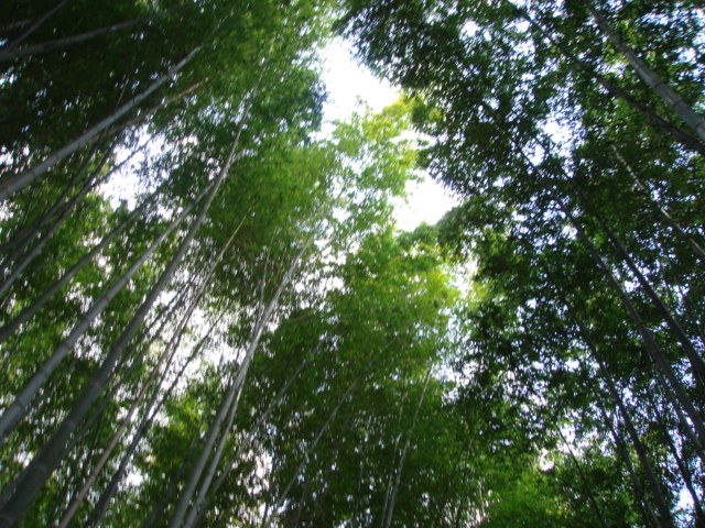 d0063563_16232862.jpg