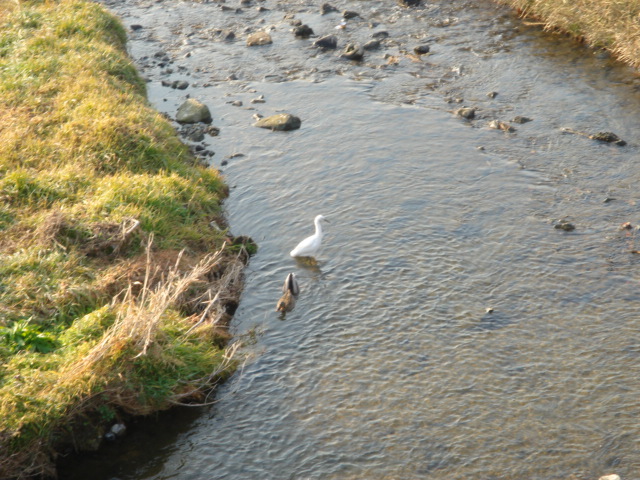 d0063563_22371427.jpg