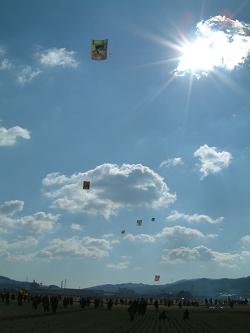 e0023164_012768.jpg