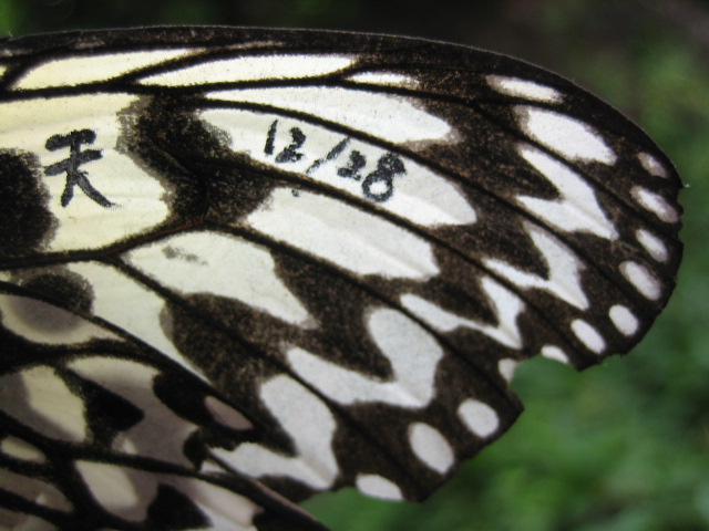 d0007673_17174458.jpg