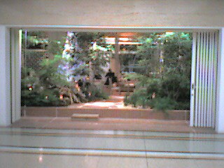e0049877_0182357.jpg