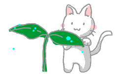 b0007685_1211291.gif