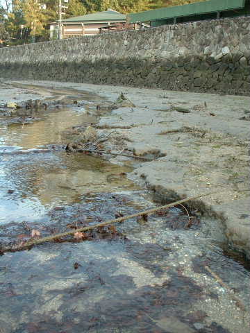 e0060485_2239778.jpg