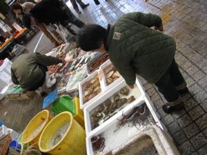 d0016392_1602329.jpg