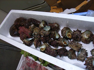 f0003994_1155469.jpg