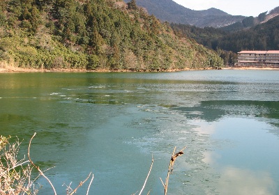 f0028894_15355057.jpg