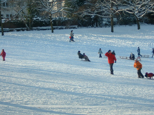e0028897_254223.jpg