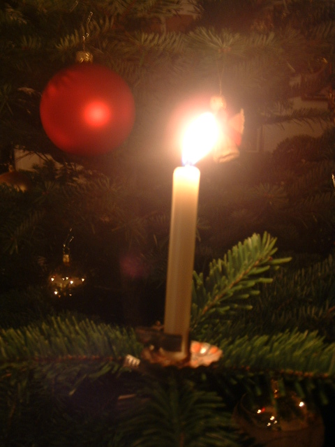 e0028897_36014.jpg