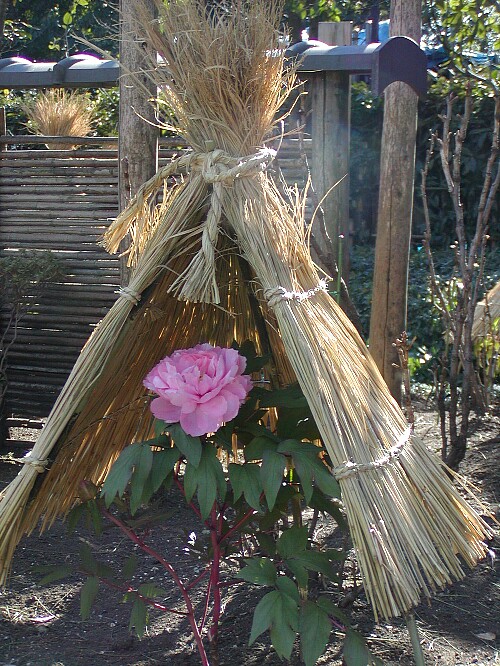 a0009600_19321583.jpg