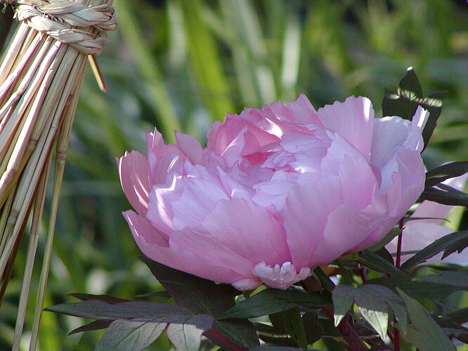 a0009600_19341251.jpg