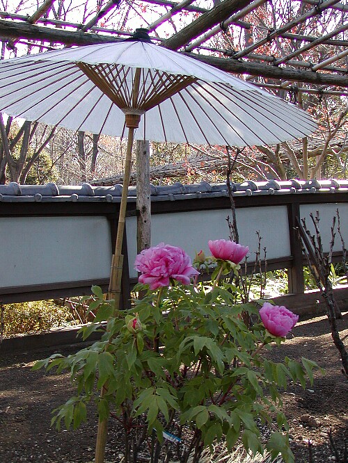 a0009600_19344835.jpg