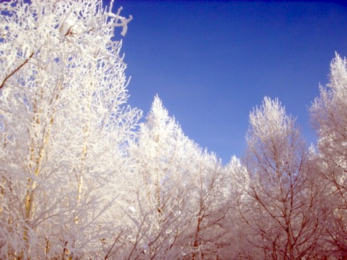 f0020302_13464399.jpg