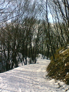 a0028803_21112253.jpg