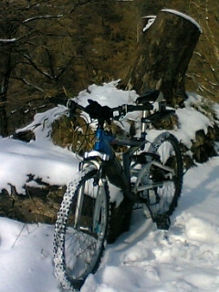 a0028803_2114523.jpg