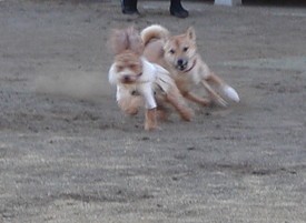 c0041207_1841958.jpg