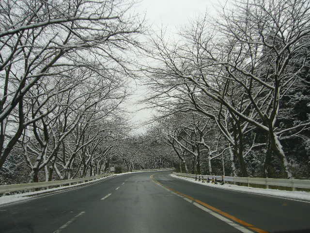 e0015108_231461.jpg
