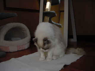 c0024410_18493969.jpg