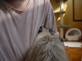 c0024410_1849785.jpg