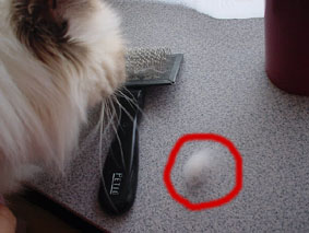 e0012610_13532993.jpg