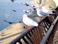 e0025410_21481198.jpg