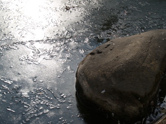e0083212_1642282.jpg