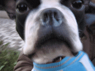 e0080117_2191244.gif