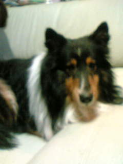f0011022_1205114.jpg