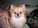 f0025622_15375030.jpg