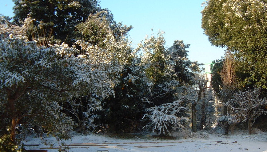 f0018424_16455338.jpg