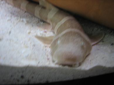 c0063627_14493535.jpg