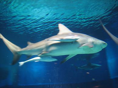 c0063627_1455988.jpg
