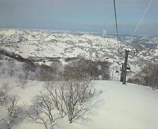 c0054838_2153530.jpg