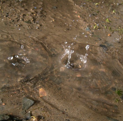 c0072843_1756226.jpg