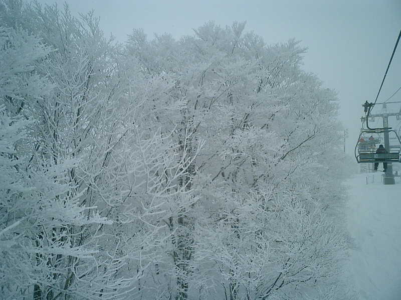 a0052156_038339.jpg