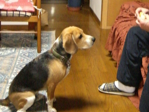 e0007060_15433110.jpg