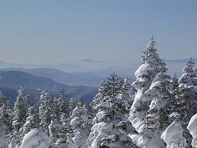 f0002163_31005.jpg