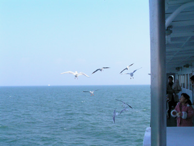 d0067165_20572266.jpg