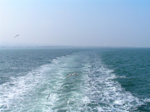 d0067165_2165097.jpg