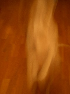 e0079166_3144898.jpg
