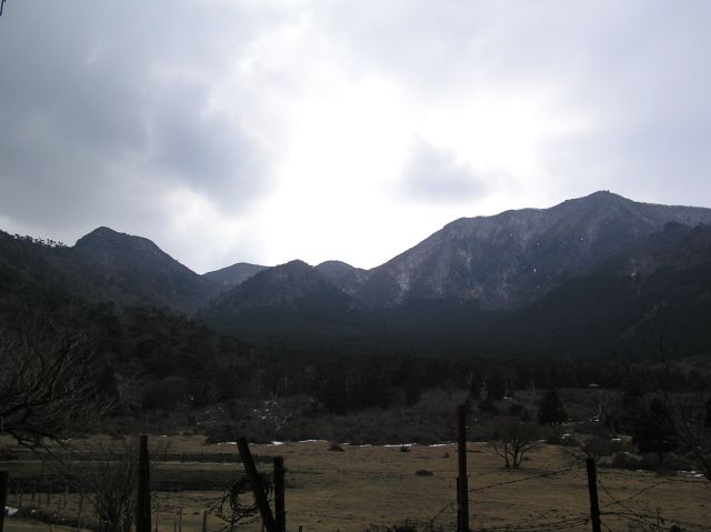 c0042869_17565341.jpg
