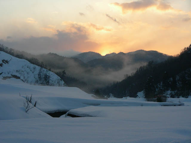 e0052074_12384.jpg