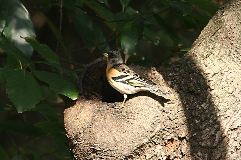 f0022486_20113171.jpg