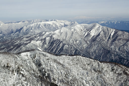 a0044202_21554017.jpg
