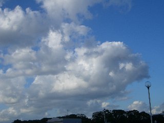 b0061107_135111100.jpg